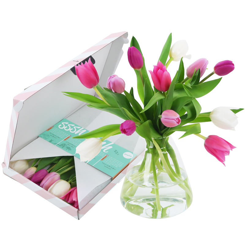 Echte tulpen door de brievenbus met kaartje Roze, lichtroze, lila, wit
