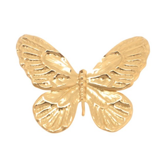 Hippe broches in leuke modellen Vlinder