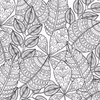 Kleurboek voor volwassenen Tuin Mandala Kunst - Verrasjelief