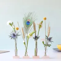 Brievenbuspakket - brievenbus cadeau - cadeau door brievenbus - bloemen sturen - bloemen cadeau - bloemen - bloompost