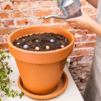 Blossomb. Bommetjes. Planten. Bloemen. Lente. Lente cadeau. Pasen cadeau. Pasen - Verrasjelief