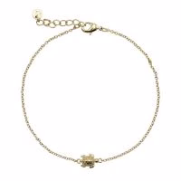 Cadeautje door de brievenbus. Een verguld armbandje met een schildpadje.