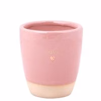 Sojakaars in Koffiekopje - Mama - Verrasjelief