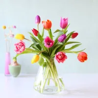 Valentijnscadeau. Moederdagcadeau. Brievnbusbloemen. Tulpjes versturen