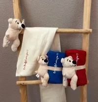 Knuffelbeer met deken 'Knuffel voor jou'