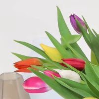 Valentijnscadeau. Moederdagcadeau. Tulpjes door de brievenbus. - Verrasjelief