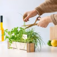 Kruidentuintje in DIY bloembakje met kaartje - Verrasjelief