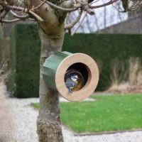 Vogelvoederhuisje - Cactus - Verrasjelief