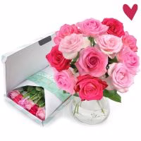 rozen versturen. rozen door de brievenbus. Rozen per post. Bloemen versturen.
