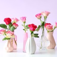 rozen versturen. rozen door de brievenbus. Rozen per post. Bloemen versturen.
