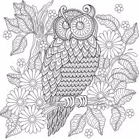 Kleurboek voor volwassenen Tuin Mandala Kunst - Verrasjelief