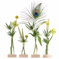 Brievenbusbloemen - bloemen versturen - moederdagcadeau - brievenbus cadeau - moederdagkado