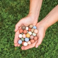 Lente. Moederdag. Plante. Bloemen .Bommetjes. Bloembommejtes. Blossombs. - Verrasjelief