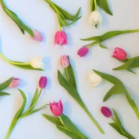 Valentijnscadeau. Moederdagcadeau. Tulpjes door de brievenbus.