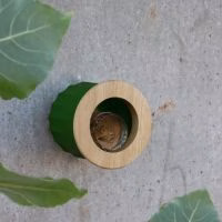 Vogelvoederhuisje - Cactus - Verrasjelief