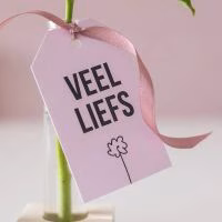 Brievenbus - Chocolade - Liefde - Pakketje - Bloemetje - Geliefde - Roos