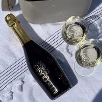 Il Miogusto Wijn Spumante Bianco, Amarenissima of Melonsecco of Cava - Verrasjelief