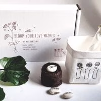 wensbonen - ik hou van je - moederdagcadeautje - bonen - wens - plantje