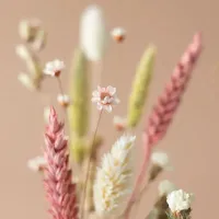 Droogbloemen versturen - brievenbusbloemen - brievenbuscadeau - brievenbusgeluk. Cadeau voor haar. Leuk cadeau vriendin. Cadeautjes voor haar. Cadeau idee vrouw. Moederdagcadeau. Kado voor mama. Kerstcadeau vrouw. Kerstcadeau voor haar.