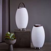 Kooduu Synergy 50 wijnkoeler speaker en lamp - Verrasjelief
