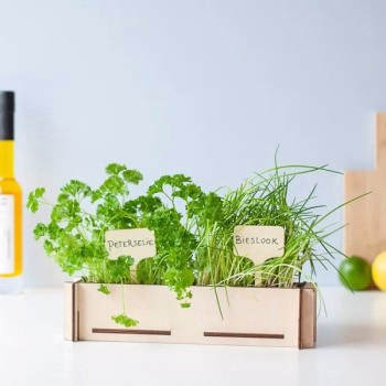 Kruidentuintje in DIY bloembakje met kaartje