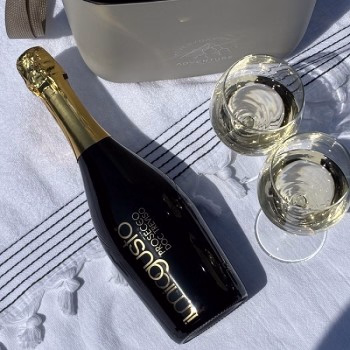 Il Miogusto Wijn Spumante Bianco, Amarenissima of Melonsecco of Cava - Verrasjelief