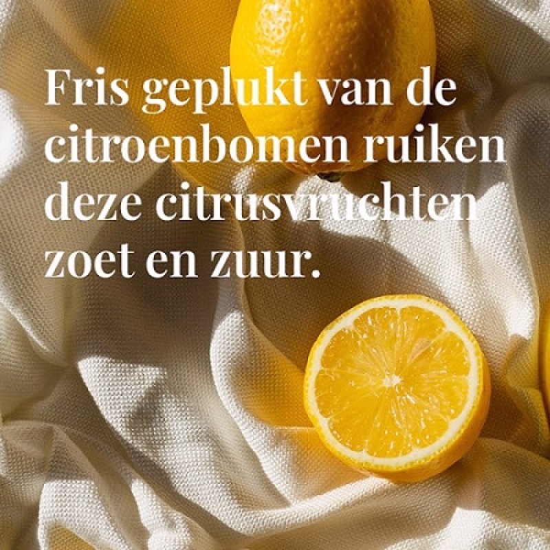 Janzen zomerse giftset met bodylotion en showerfoam Sun 81