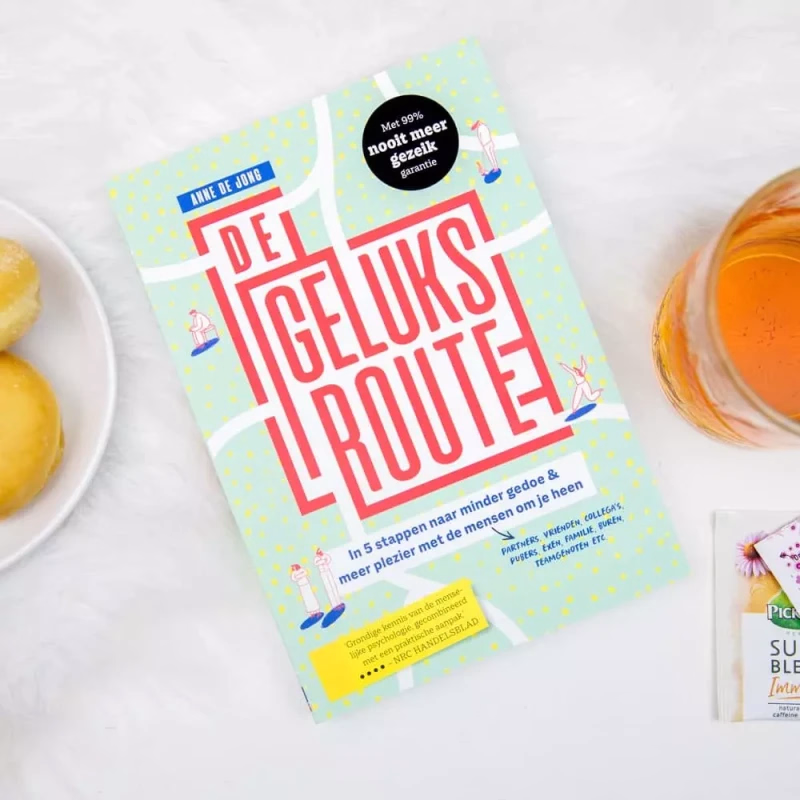 Boek 'De Geluksroute' van Anne de Jong