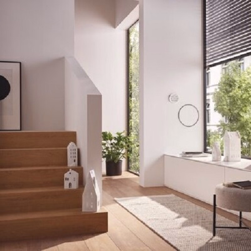 Räder Lichthuisje - Trapgevel - Verrasjelief