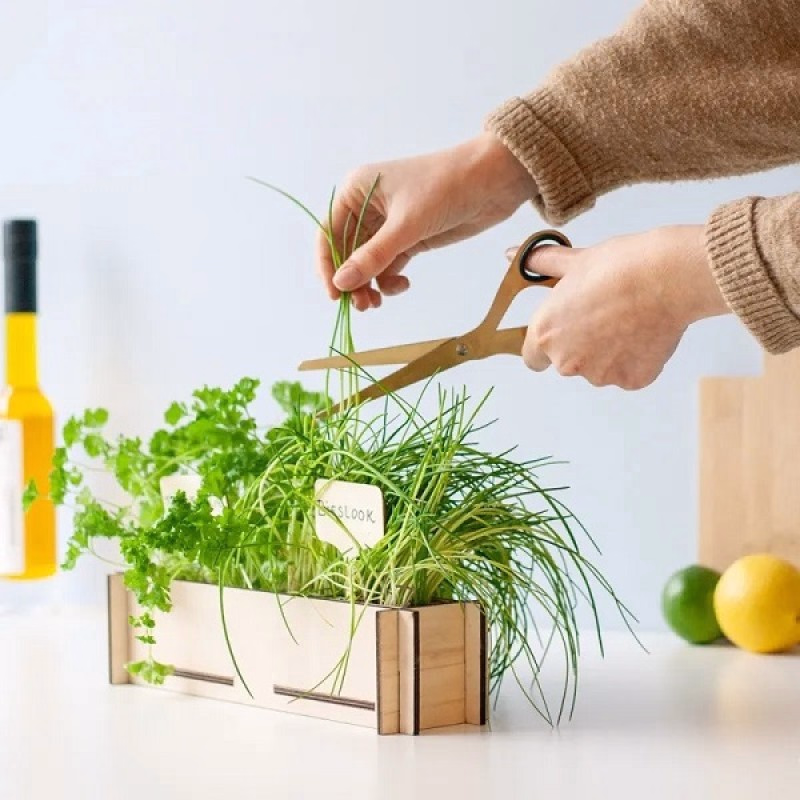 Kruidentuintje in DIY bloembakje met kaartje - Verrasjelief