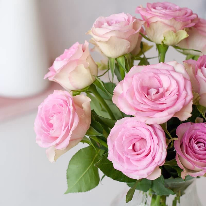 Echte witte, roze of rode rozen door de brievenbus met kaartje - Verrasjelief