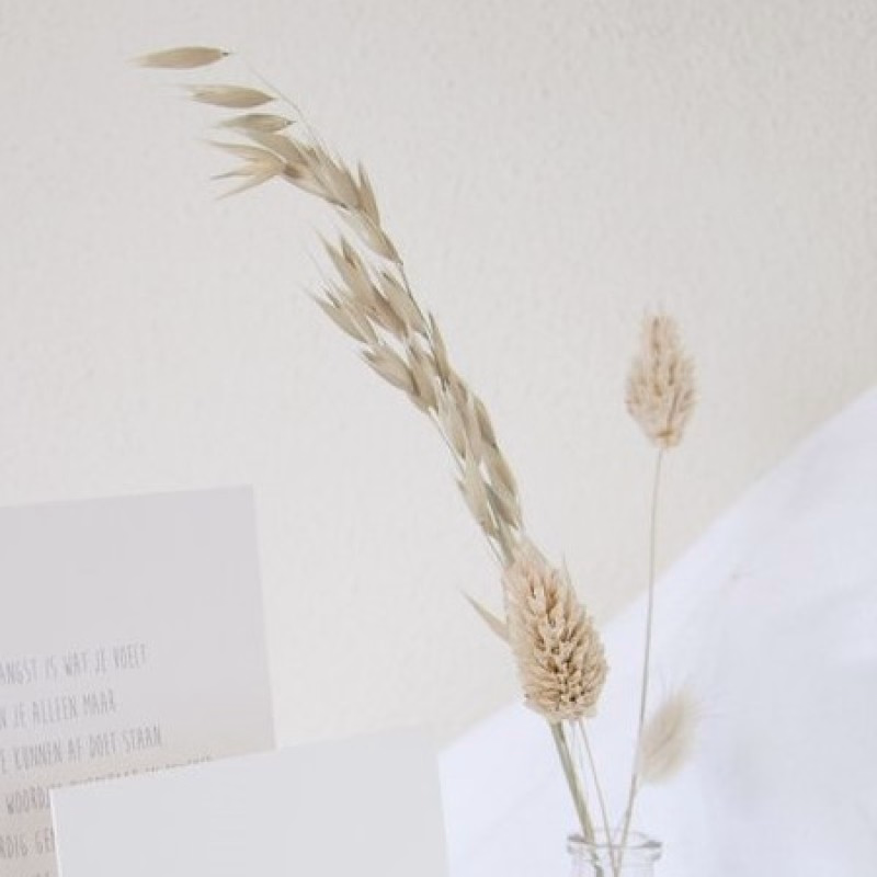 Mini boeketje droogbloemen voor vaasje pronkplankje hold it