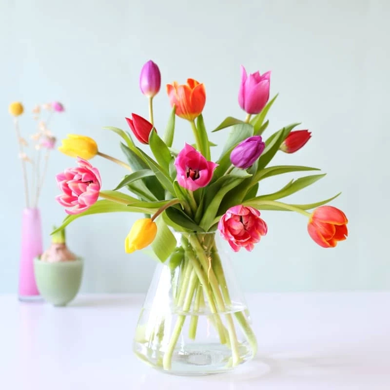 Echte tulpen door de brievenbus met kaartje