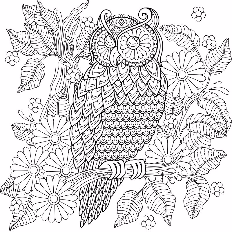 Kleurboek voor volwassenen Tuin Mandala Kunst - Verrasjelief