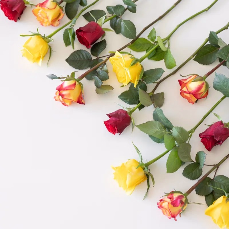 Echte herfst rozen door de brievenbus met kaartje - Verrasjelief