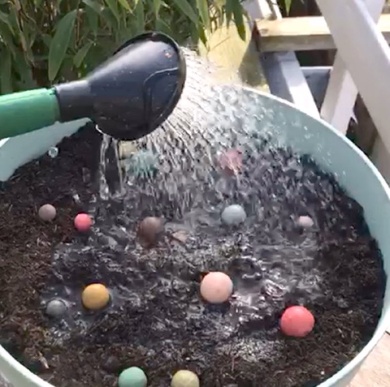 Vrolijke bommetjes met bloemzaadjes voor meer bijen en vlinders