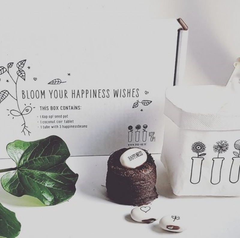 Wensdoosje met bloeiende 'Happiness Wishes' of 'Ik wens jou beterschap'