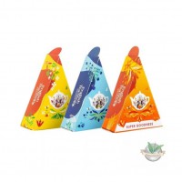 Giftbox met 12 luxe organische wellness thee pyramides