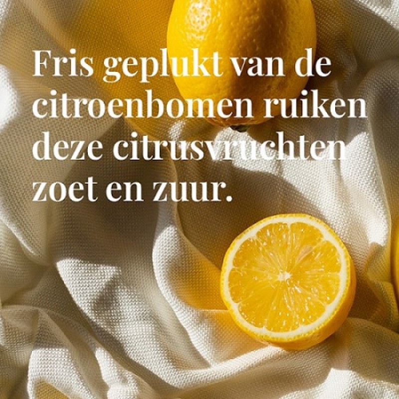 Janzen zomerse giftset met bodylotion en showerfoam Sun 81
