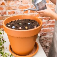 Lente. Moederdag. Cadeau voor Moederdag. Lente cadeaus. Waardeer. Waarderen. Dankjewel. Cadeaus. Cadeau vrouw. Cadeau idee. Kado. Cado. Kado idee. Kadootje vrouwen. Cadeau meisjes